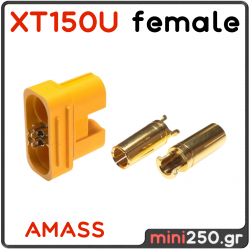 AS150U AMASS Connector Θηλυκό 6 PIN 70A MPN: EL-0062
