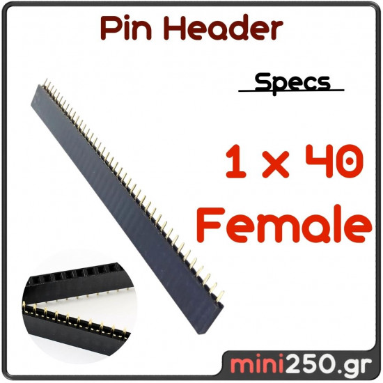 Pin Header 1 x 40 Female EL-0187