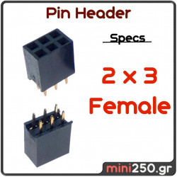 Pin Header 2 x 3 Female EL-0116
