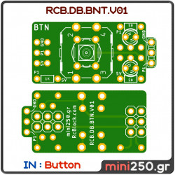 RCB.DB.BTN.V01 PCB-0018