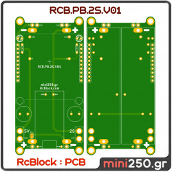 RCB.PB.2S.V01 PCB-0064