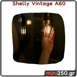 Shelly Vintage A60