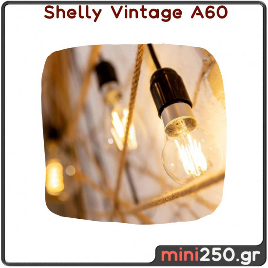 Shelly Vintage A60