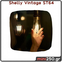 Shelly Vintage ST64