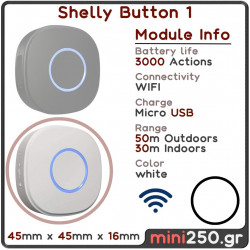 Shelly Button 1 ( White )