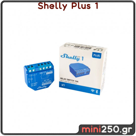Shelly Plus 1