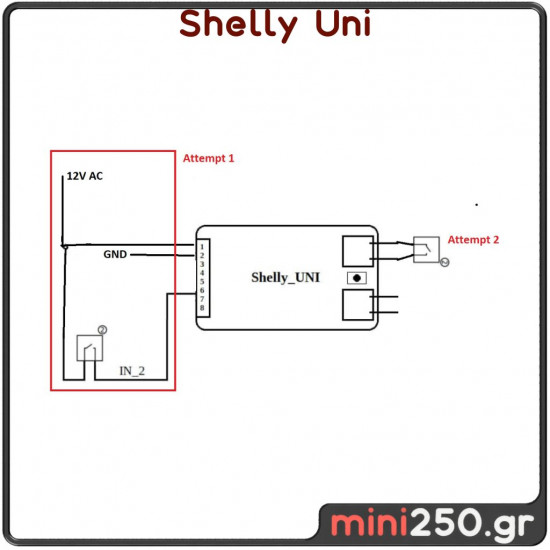 Shelly Uni