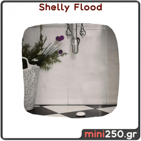 Shelly Flood